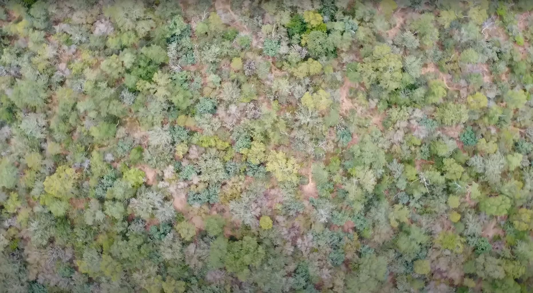 Verra conservation polygon finalized