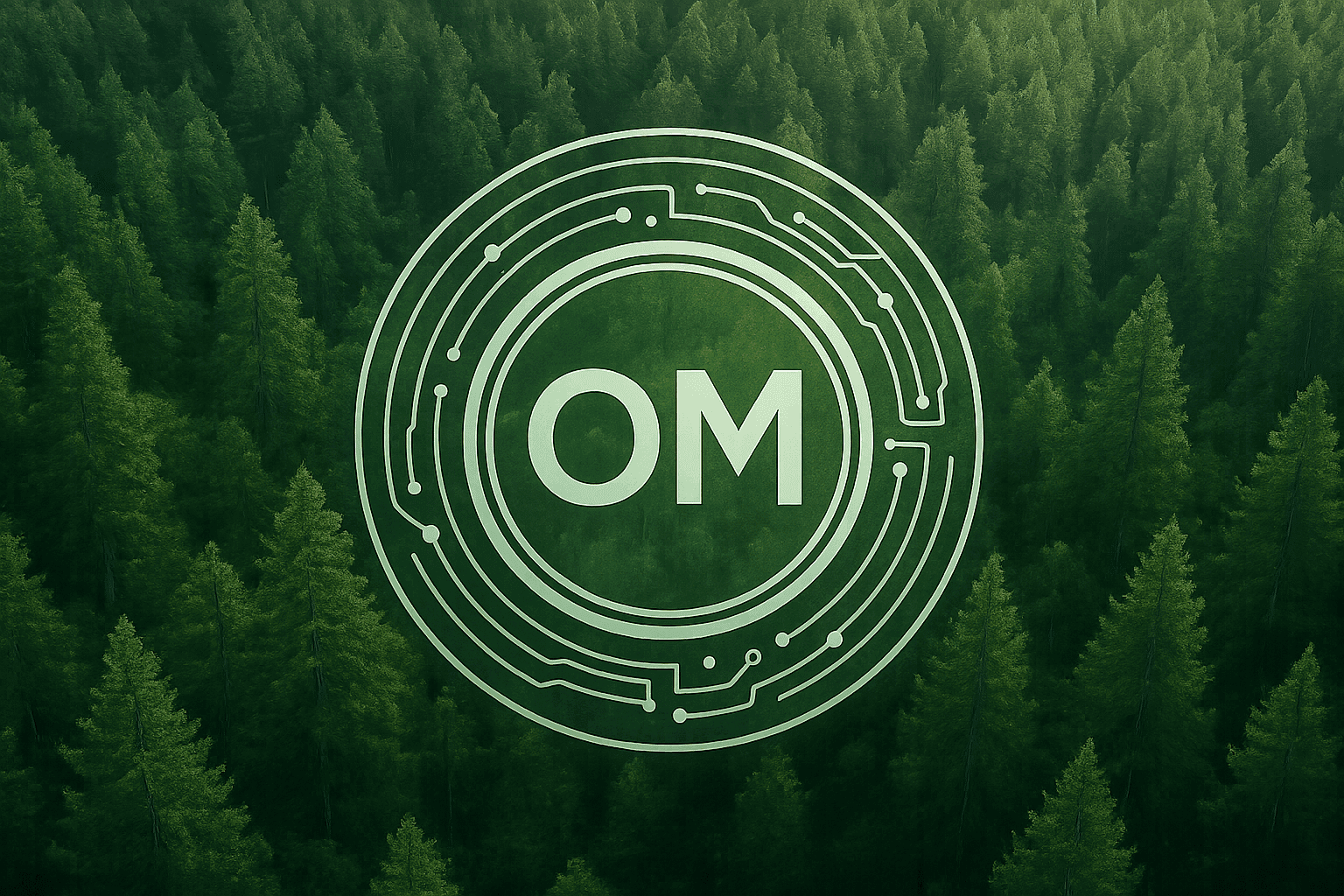 Tokens OM vs OC: Diferencias y Beneficios